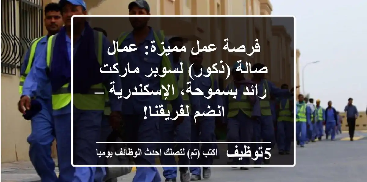 فرصة عمل مميزة: عمال صالة (ذكور) لسوبر ماركت رائد بسموحة، الإسكندرية – انضم لفريقنا!