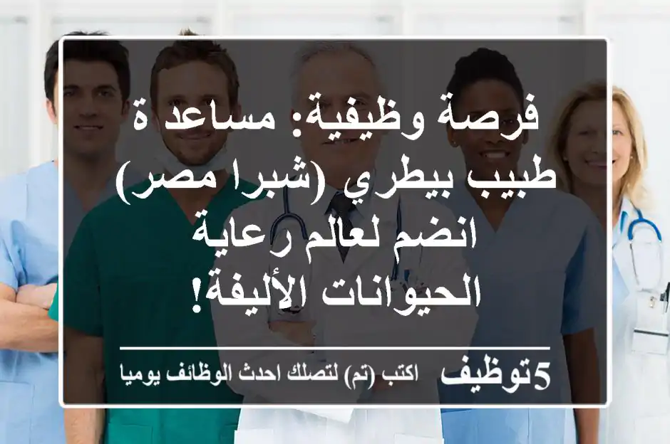 فرصة وظيفية: مساعد/ة طبيب بيطري (شبرا مصر) - انضم لعالم رعاية الحيوانات الأليفة!