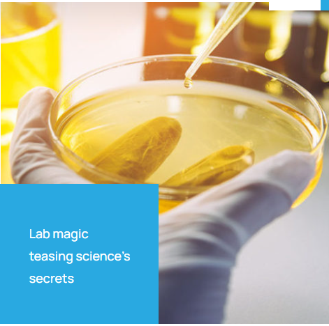 Laboratory Testing and Analysis