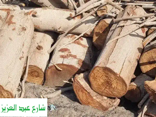 حطب جزورين: اشتعال قوي وحرارة تدوم طويلاً - تجربة...