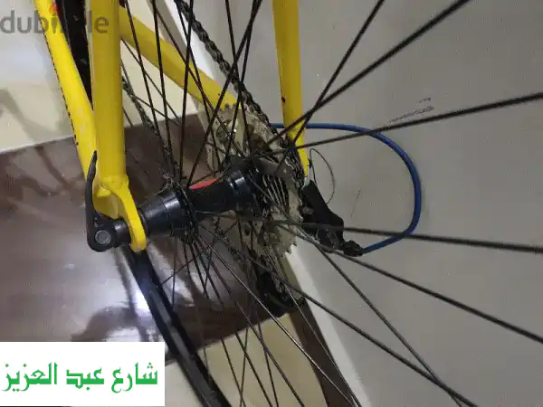 دراجة هوائية Performer Storm معدّلة - فرصة لا تُفوّت!