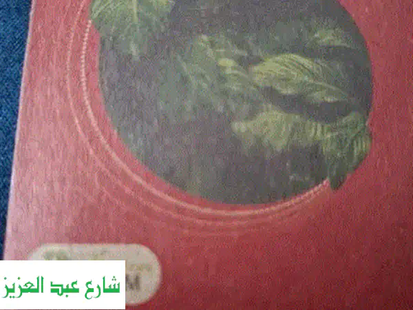 أرقام اورانج مميزة للبيع | نقل ملكية فوري | عروض لا تُفوّت!