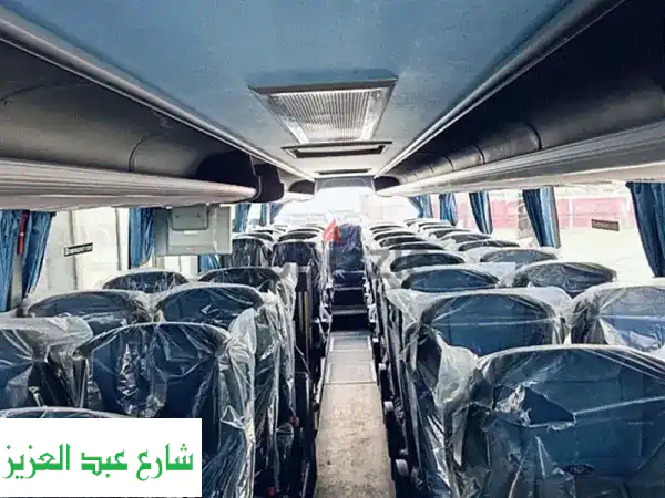 رحلات مصرية مريحة وآمنة مع أماكن ترافل: باصات حديثة وعروض مميزة للشركات والأفراد