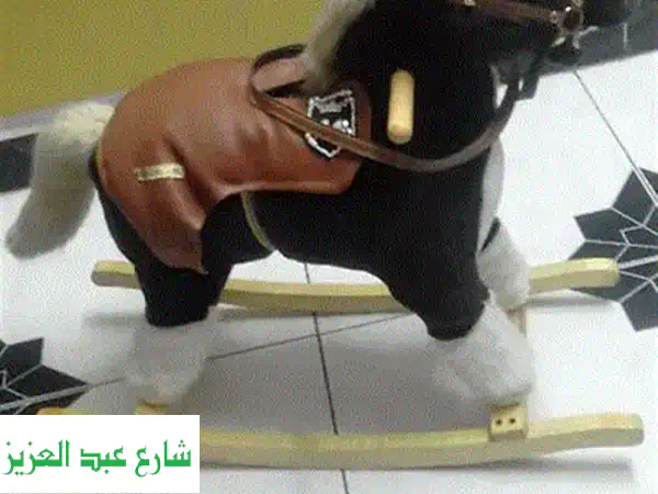 ساعة ريبوك أطفال غطس 100 متر - بحالة ممتازة! (الإسكندرية)