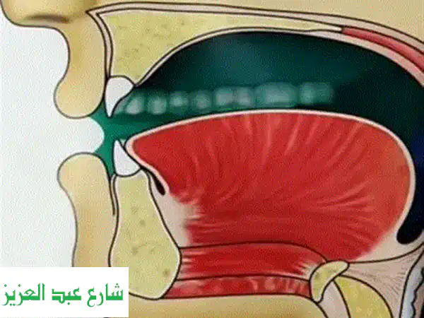 أُحسِنْ قراءة القرآن الكريم: دروسٌ ودوراتٌ...