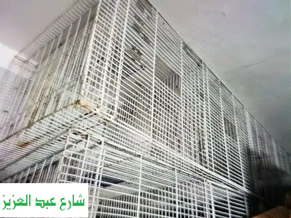 أقفاص عصافير أنيقة -  مناسبة لتربية...