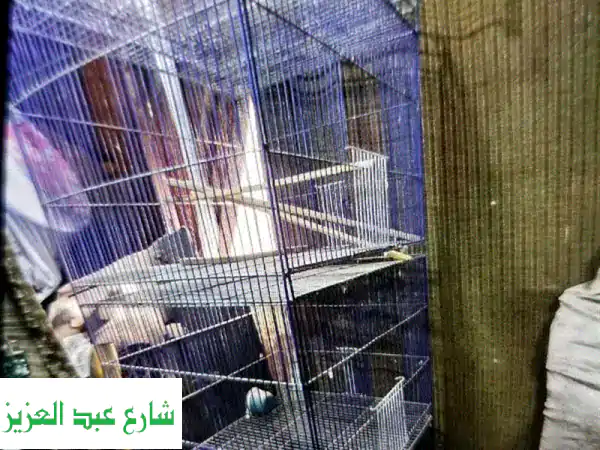 أقفاص عصافير أنيقة -  مناسبة لتربية العصافير الإنجليزية! (عرض مميز)