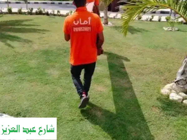 شركة بي أمان للنقل: نقل عفشك وشحن بضائعك بأمان...