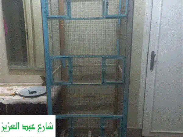سلاكة أرانب فاخرة 6 عيون - عرض لا يُفوّت! 1500 جنيه فقط!