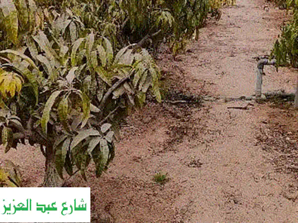 فرصة استثمارية مميزة: شراكة في مشروع صناعي ناجح بمصر - أرباح مضمونة!