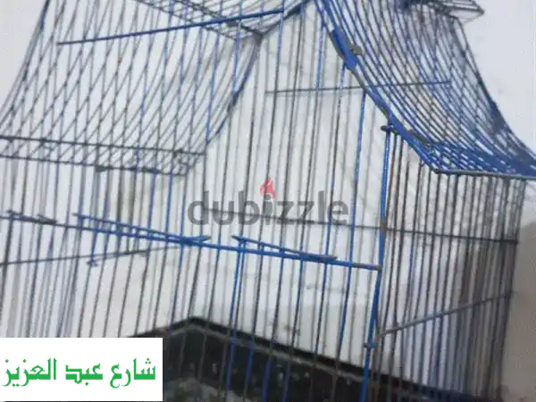 عصافير غردها جميل وأسعارها أجمل! 🐦 (فلل،...