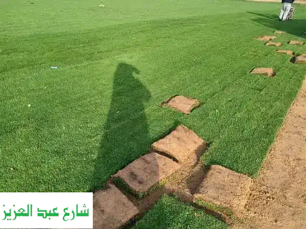 نجيل بسبيلم، لاندسكيب، تنسيق حدائق، مسطحات...