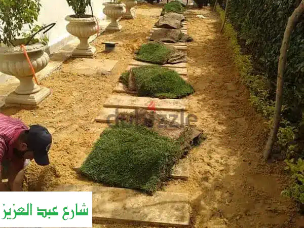 نجيل بسبيلم، لاندسكيب، تنسيق حدائق، مسطحات خضراء، نباتات زينة