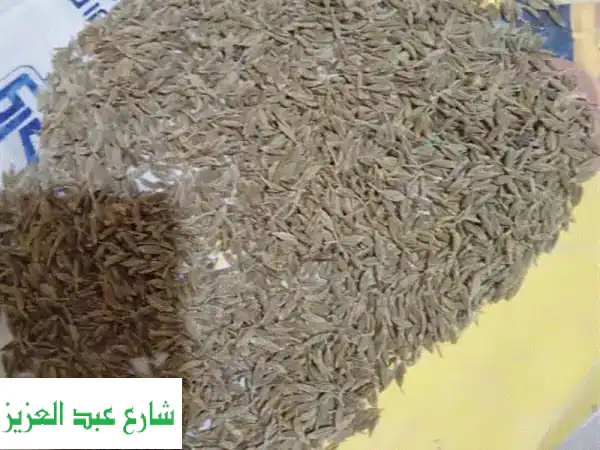 كمون بلدي (380 كغم) - متعقب عالي الجودة - جودة مضمونة!