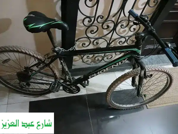 عجلة فونيكس 26 بوصة - بحالة ممتازة! جاهزة للمغامرة!