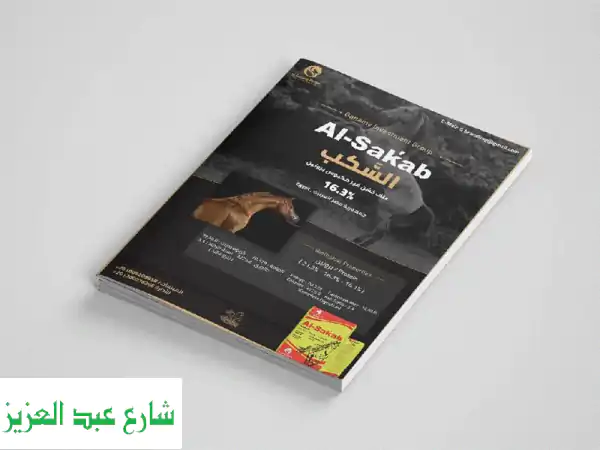 تصميم كتيب شركة احترافي - اترك انطباعًا لا يُنسى!