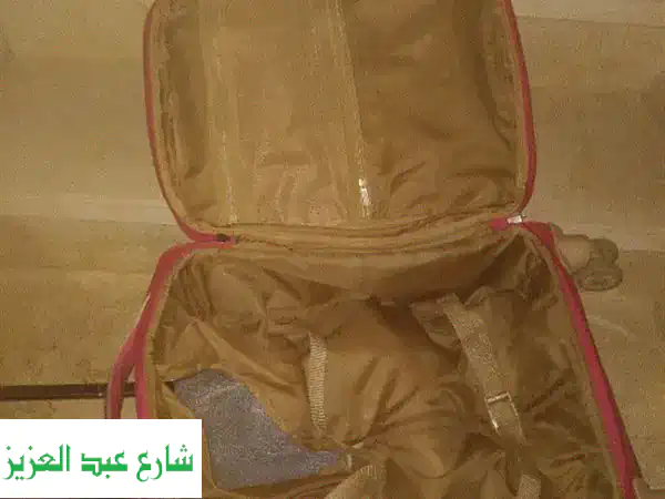 شنطة سفر Verage: راحة السفر بأناقة فائقة - حقيبة يد محمولة مع 4 عجلات!
