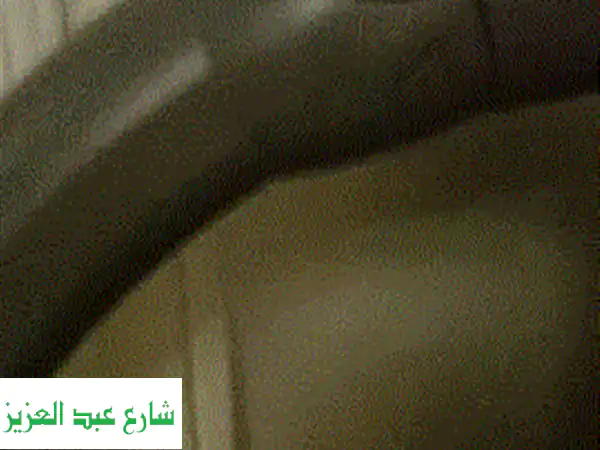 مكنسة كهربائية فريش - كالجديدة! (استخدام خفيف لسنة واحدة)