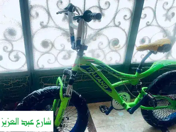 عجلة بحالة ممتازة للبيع في طنطا - فرصة لا تُفوّت!