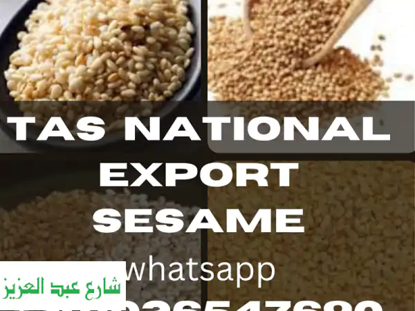 سمسم سوداني عالي الجودة - تصدير وتوريد من تأس ناشيونال