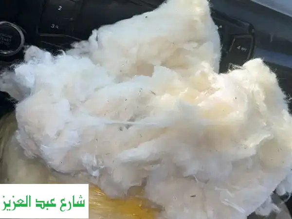 قطن مصري فاخر: جودة عالمية، تصدير سهل