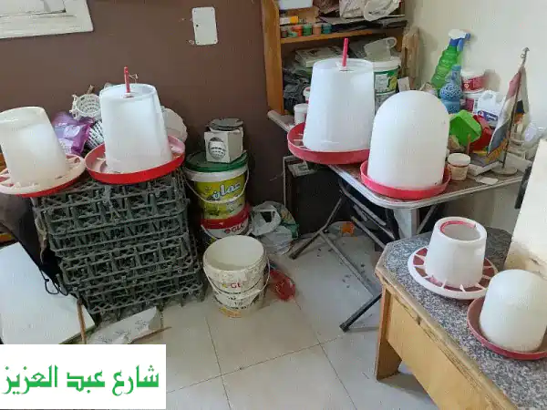 أرضيات، معالف، ومساقي مستعملة لفراخك وطيورك - أسعار لا تُفوّت!