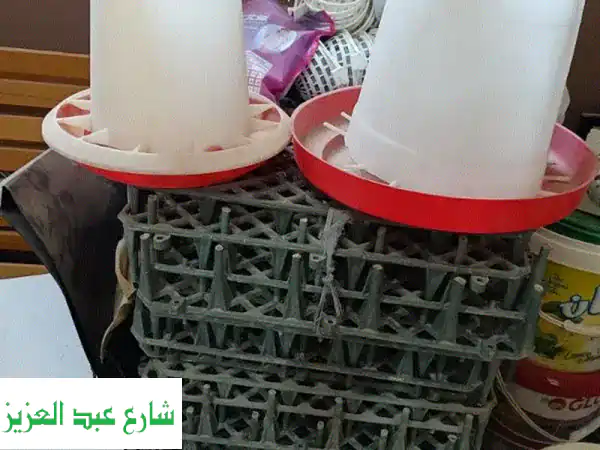 أرضيات، معالف، ومساقي مستعملة لفراخك وطيورك - أسعار...