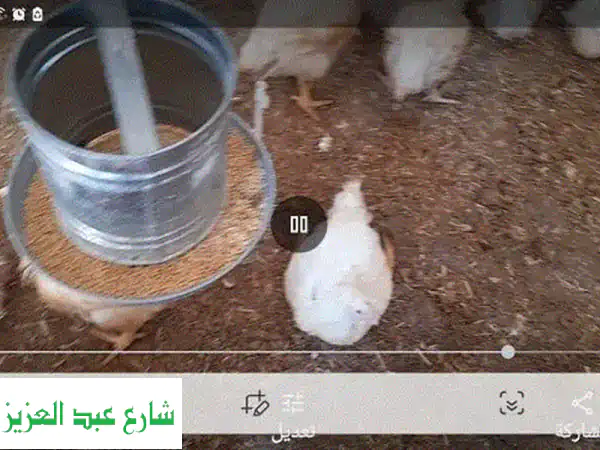 مزرعتك الصغيرة.. جاهزة الآن!  خلية تبريد متكاملة مع...